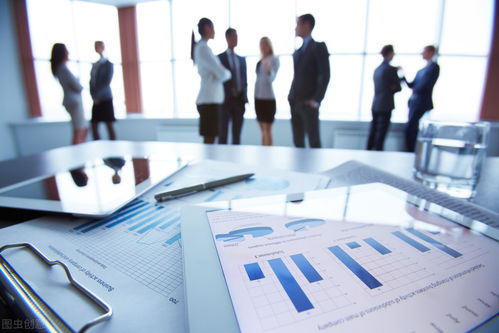 信息化浪潮下的企業(yè)信息化管理 概念、內(nèi)涵與技術(shù)咨詢的橋梁作用