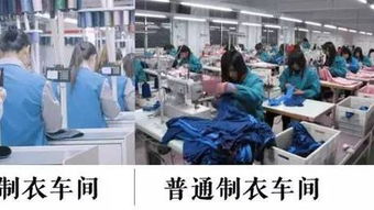 服裝行業哀鴻遍野，這家中國企業卻火遍全球